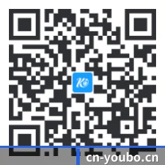 系统版 iOS 二维码